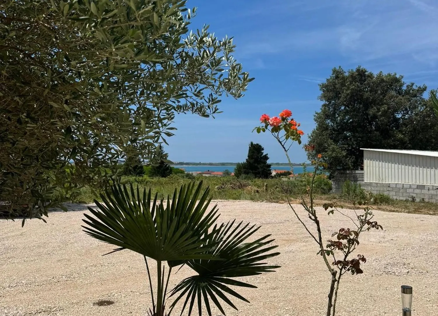 Apartments Bernarda 1