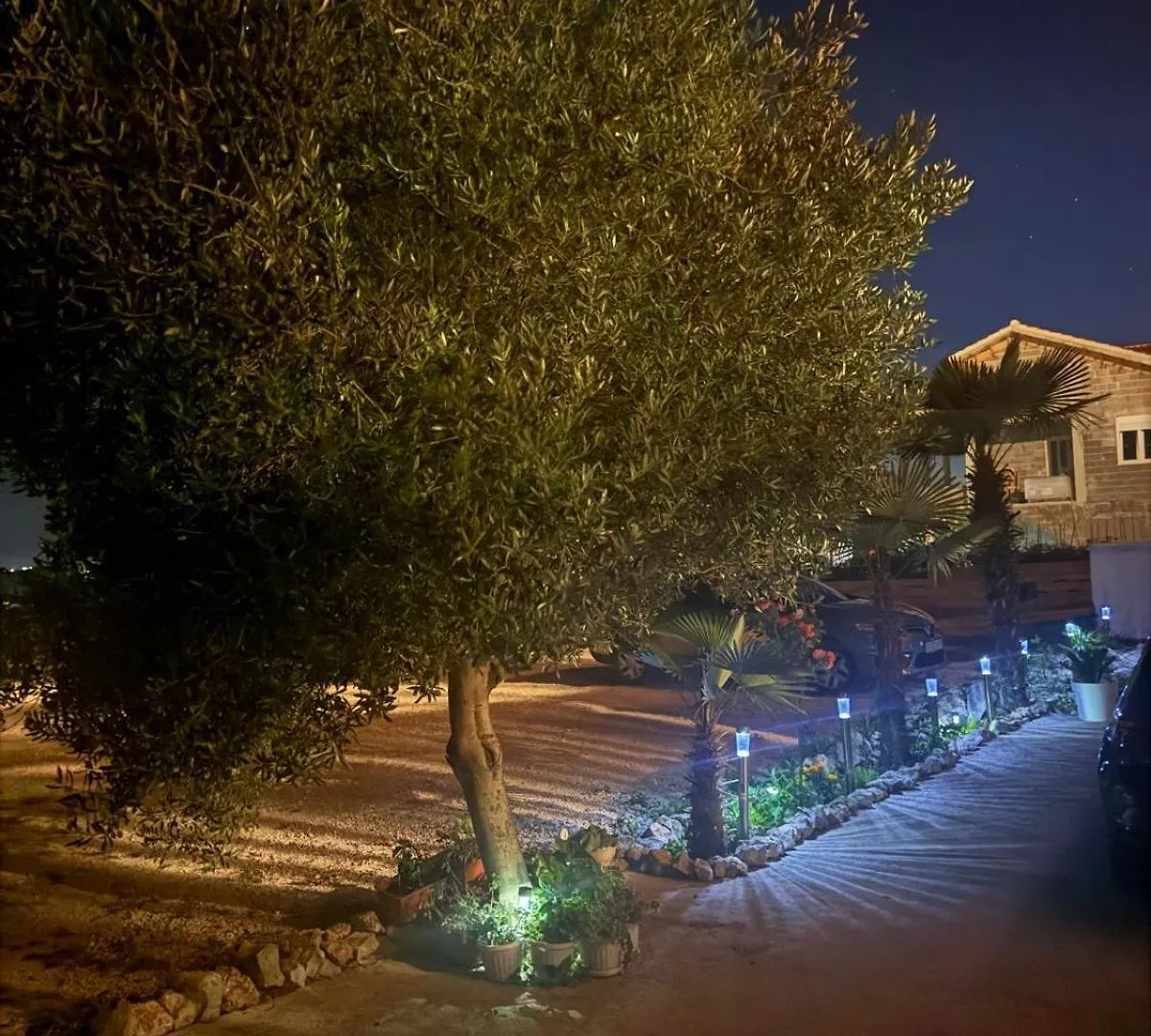 Apartments Bernarda 1  Nin